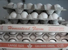 Homestead Large White - 1 dozen