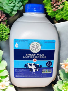 Whole Pasteurized Sheep Milk