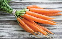 Organic Carrots - Orange - Bunched
