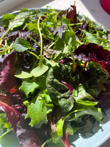 Organic Greens - Kitchen Sink - Mixed Greens