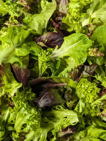 Organic Salad Mix (150g bag)