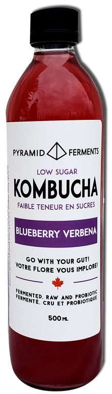 Kombucha - Blueberry Verbena - Case of 12