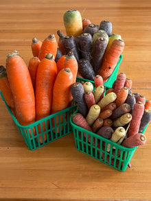 Organic Carrots - Orange - Nantes