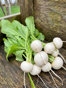 Organic Turnips - Hakurei - Loose