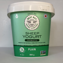800g Plain Sheep Yogurt