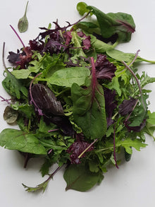 Organic Greens - Kitchen Sink - Mixed Greens