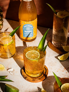 Tepache Mocktail 375 ml