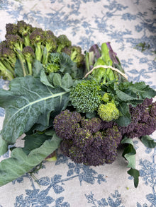 Organic Broccolini - Purple or Green Mixed