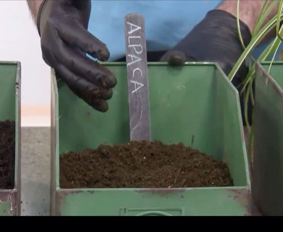 SHED SHIT - Alpaca Poo for seedlings & plants