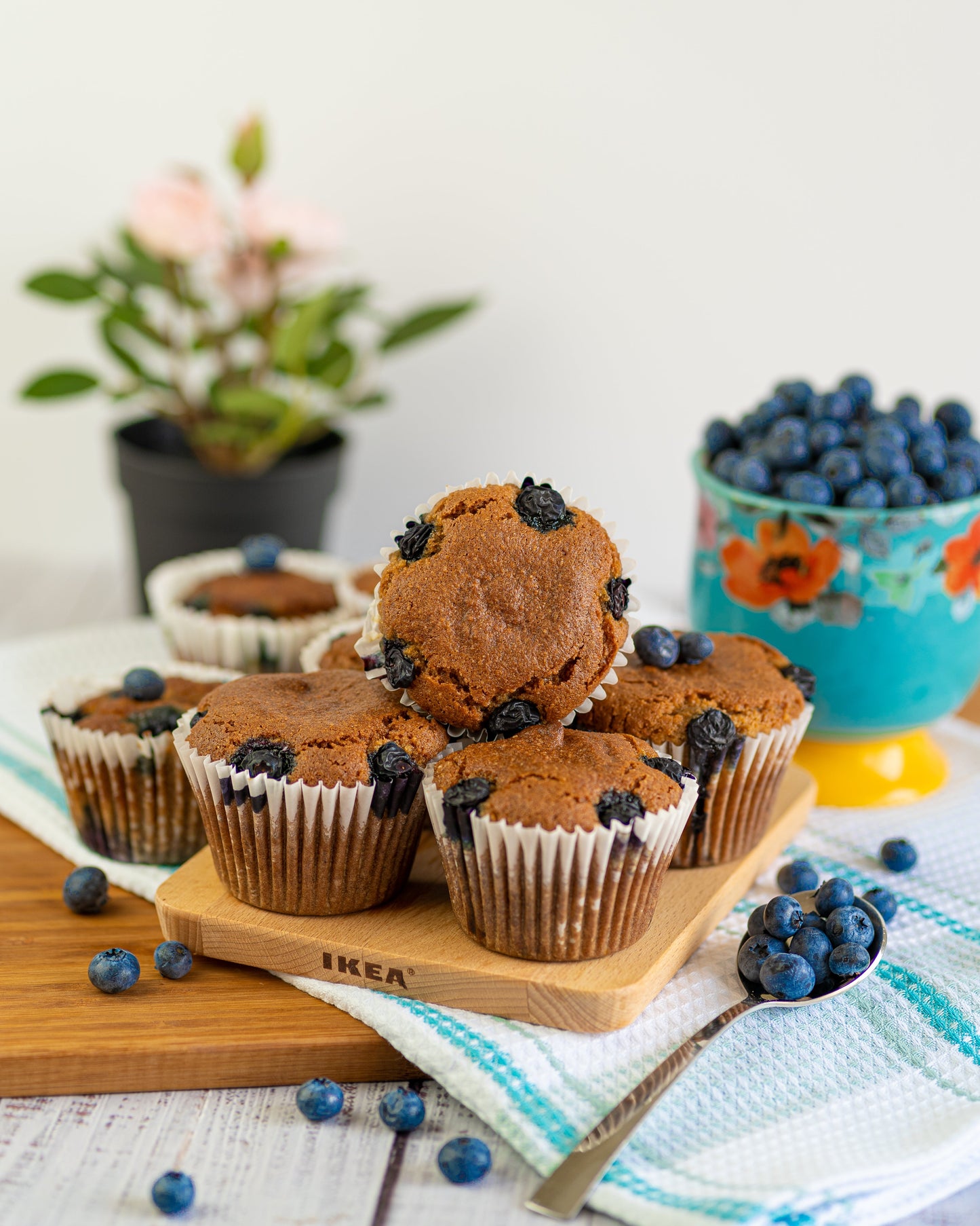 Paleo Blueberry Muffins