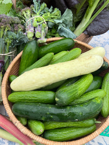 Organic Cucumbers - Mixed Varieties
