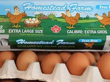 Homestead Extra Large Free Run - 1 dozen