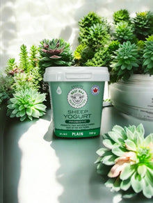 150g Plain Sheep Yogurt