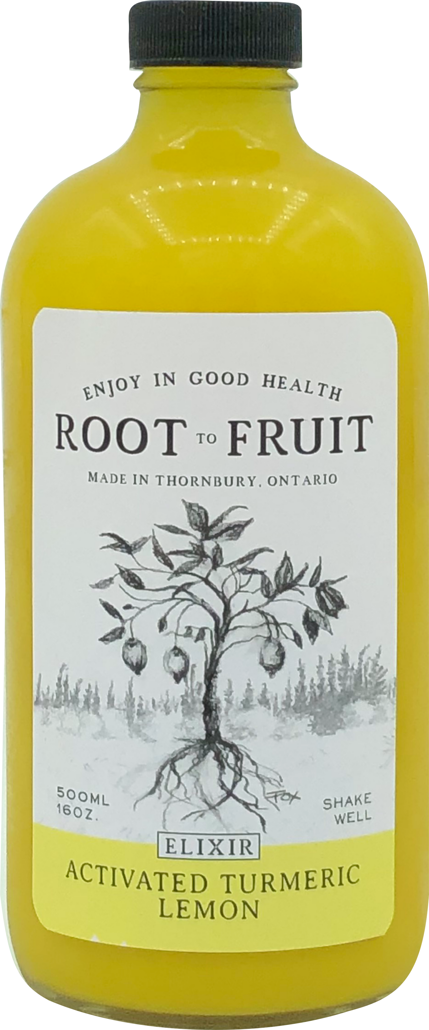 Root to Fruit Activated Turmeric Ginger Lemon