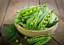 Organic Peas - English Shelling - 2lb