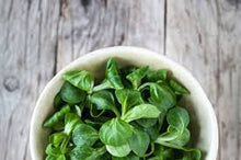 Organic Greens - Maché - FULL ROSETTES - (Lambs Lettuce)