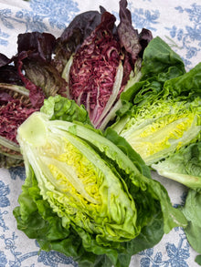 Organic Lettuce Gem - Head