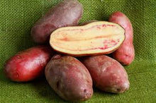 Organic Potatoes - Fingerling - French - Red (Yellow Flesh)