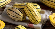 Organic Squash - Delicata