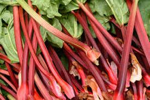 Organic Rhubarb