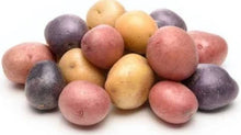 Organic Potatoes - Mixed Mini's