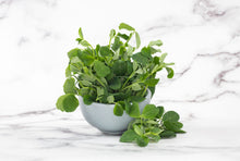 Speckled Pea Microgreens (100g)