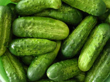 Organic Cucumbers - Pickling -Small (#1 and # 2 sizes) - 1lb