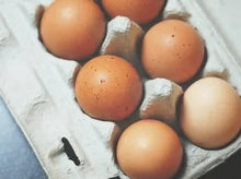 Homestead Large Organic - 1 dozen