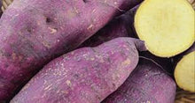 Organic Sweet Potatoes - Japanese Purple (White Flesh)