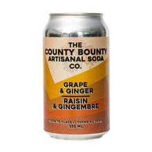 Grape Ginger Soda - 4 pack