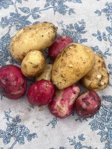 Organic New Potatoes - Mixed