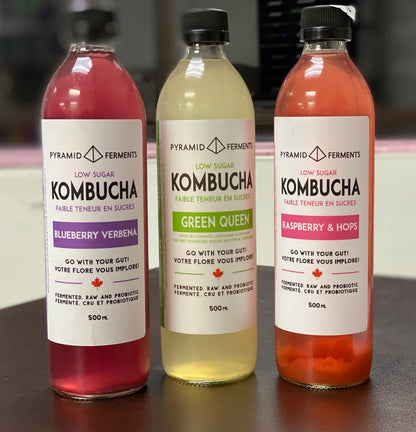 Kombucha Variety Pack - Case of 12