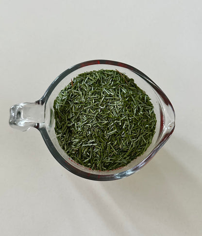 Evergreen Lip Balm