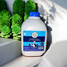 Whole Pasteurized Sheep Milk