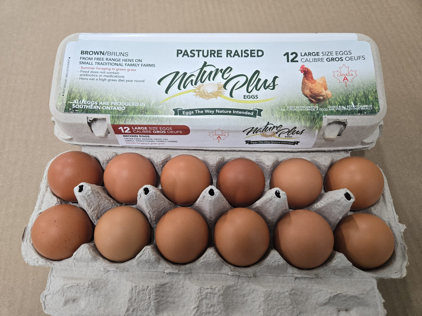 Large Pasture Raised Eggs