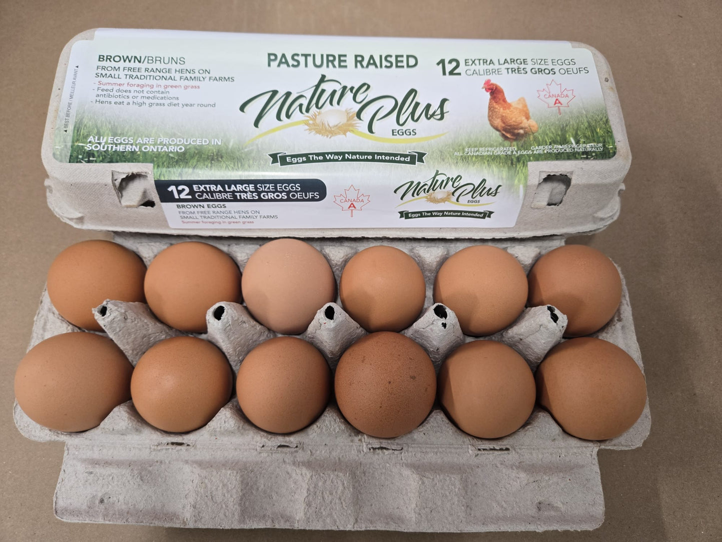 Extra Large Pasture Raised Eggs