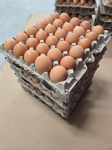 Extra Large Pasture Raised Eggs