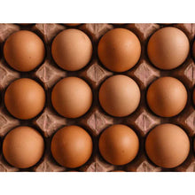 Free Range Extra Large Eggs