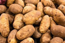 Organic Potatoes - Russet