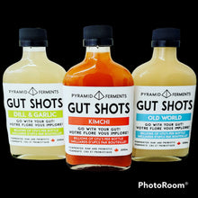 Gut Shots Variety Pack - Case of 12