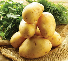 Organic Potatoes - Yellow - Med