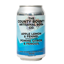 Apple Lemon Fennel Soda - 4 pack