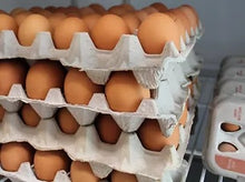 Homestead Large Brown - 1 dozen