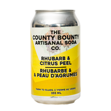 Rhubarb Citrus Peel Soda - 4 pack