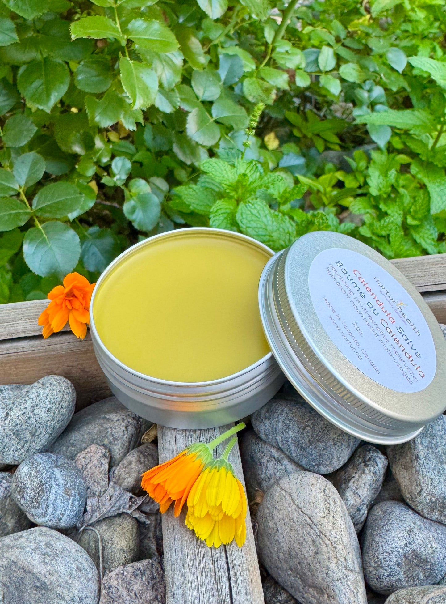 Calendula Salve