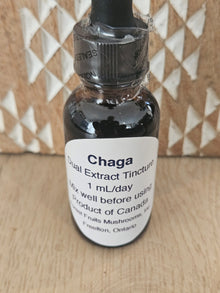 Chaga Dual Extract Tincture