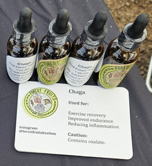 Chaga Dual Extract Tincture