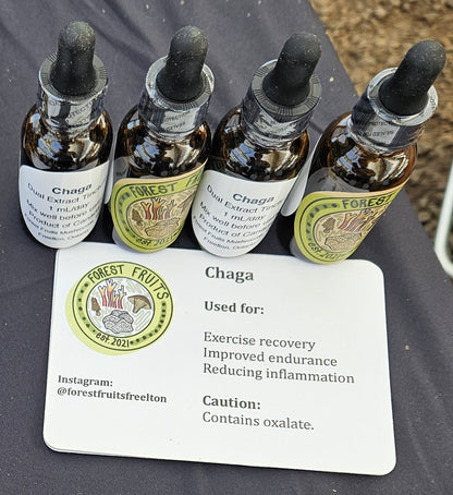 Chaga Dual Extract Tincture