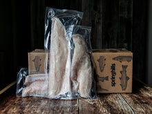 Pickerel (Walleye) - 5lb