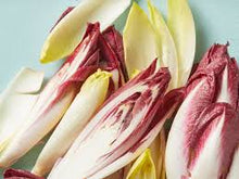 Endive Loose Leaves